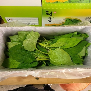 곰배령농산물,[곰배령농산물]인제 명품 산나물 곤드레나물 1kg